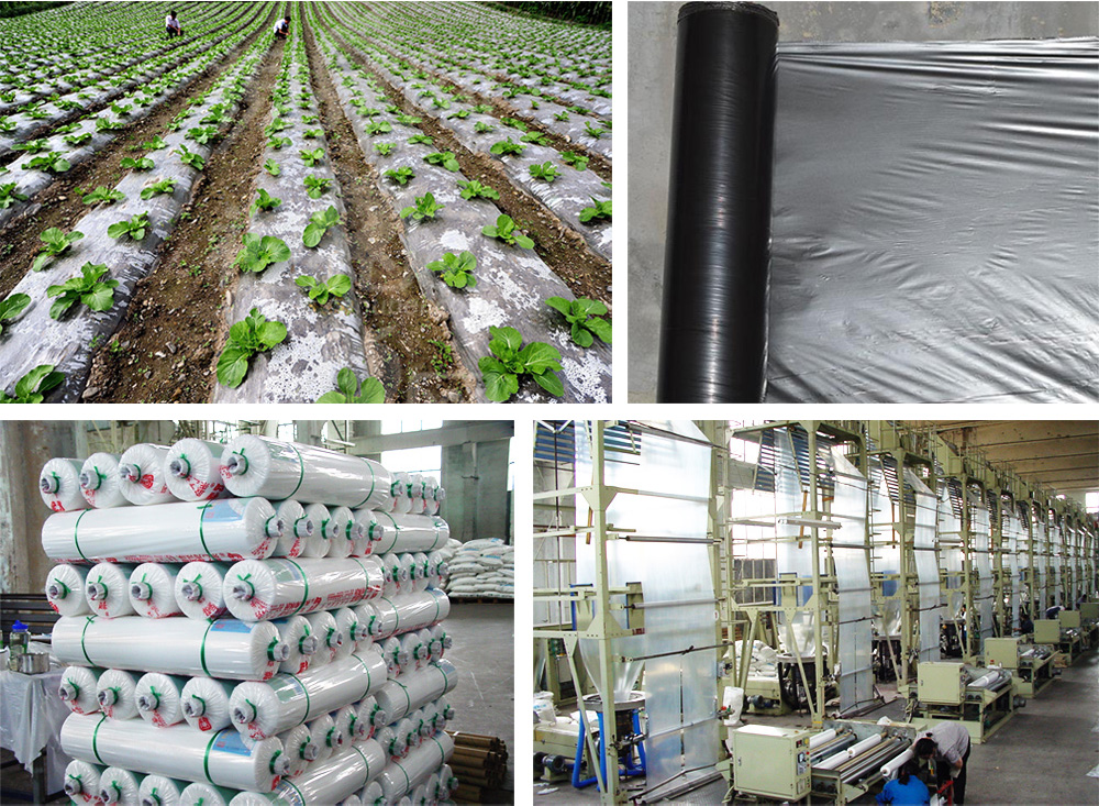 山東91视频免费版塑膠有限公司